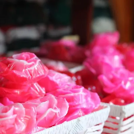 Szálloda Diamond Kazanlak